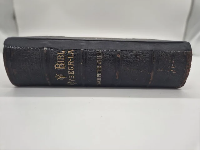 Zeer bijzondere antieke welshe bijbel – efengyl gogoniant bendigedig dduw – peter williams – 19e eeuw - afbeelding 14 van  24