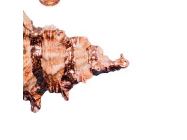 Zeeschelp hanger met roségouden plating - afbeelding 4 van  4