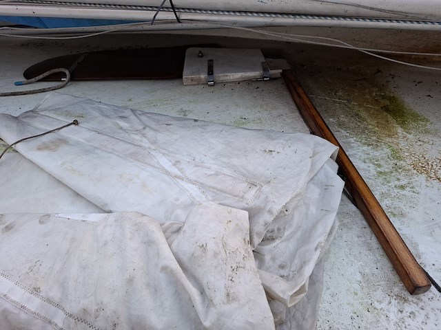 Zeilboot incl. trailer flying junior - afbeelding 9 van  14