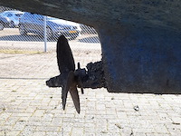 Zeilboot - afbeelding 4 van  36