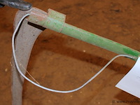 Zeis - afbeelding 3 van  3