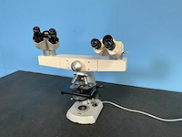 Zeiss - standard 16 - duo microscoop - afbeelding 1 van  10
