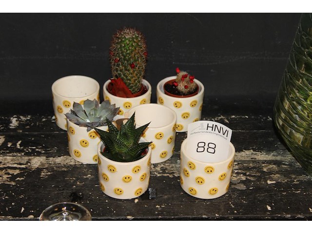 Zeven smiley potjes doorsnede 7 cm. - afbeelding 1 van  2