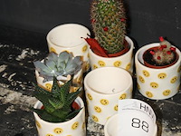 Zeven smiley potjes doorsnede 7 cm. - afbeelding 2 van  2