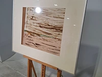 Zijde collage, maya wildevuur, anlo - afbeelding 4 van  9