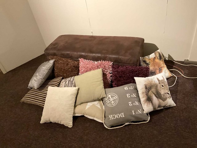 Zitbank met klep en diverse kussens - afbeelding 1 van  3