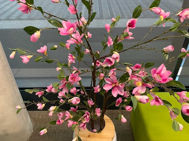 Zithoek - afbeelding 8 van  8