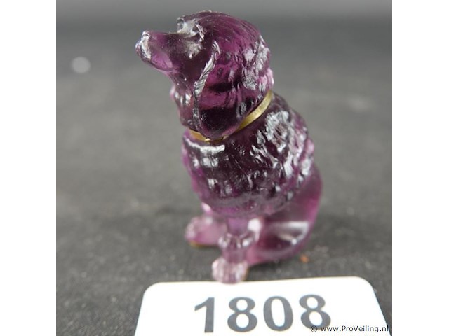 Zittende hond - afbeelding 1 van  5