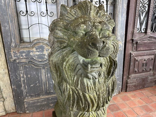 Zittende leeuw 1.50 meter hoog - afbeelding 3 van  7