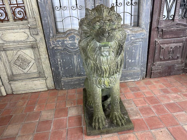 Zittende leeuw 1.50 meter hoog - afbeelding 5 van  7