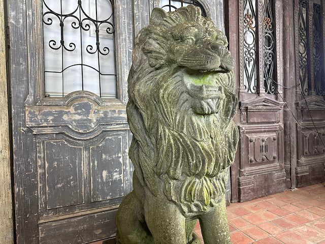 Zittende leeuw 1.50 meter hoog - afbeelding 7 van  7