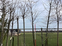 Zoete kers - vormboom