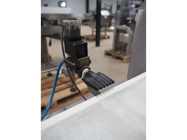 Zomerdam - afbeelding 19 van  19