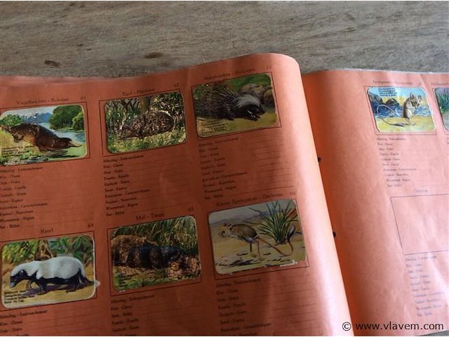 Zoo-album ( n comp) - afbeelding 3 van  4