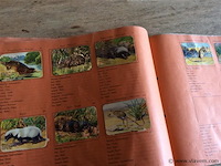 Zoo-album ( n comp) - afbeelding 3 van  4