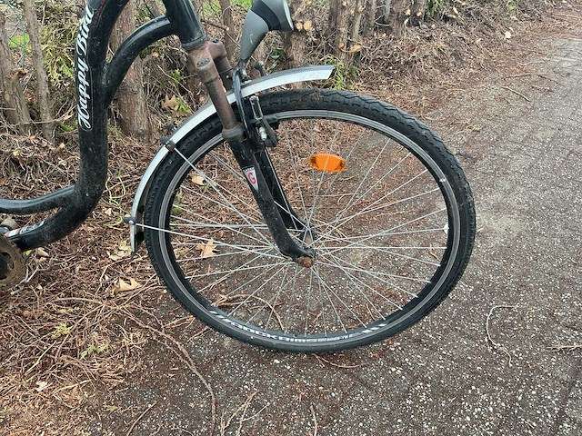 Zoom happy bird damesfiets - afbeelding 3 van  13