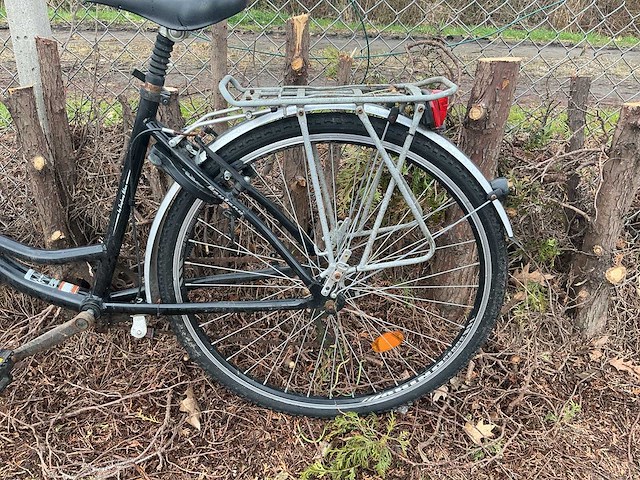 Zoom happy bird damesfiets - afbeelding 4 van  13