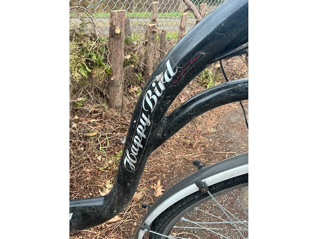 Zoom happy bird damesfiets - afbeelding 9 van  13