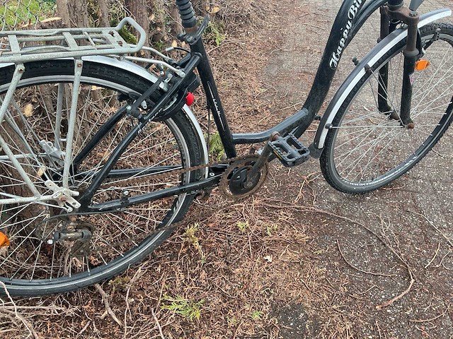 Zoom happy bird damesfiets - afbeelding 10 van  13