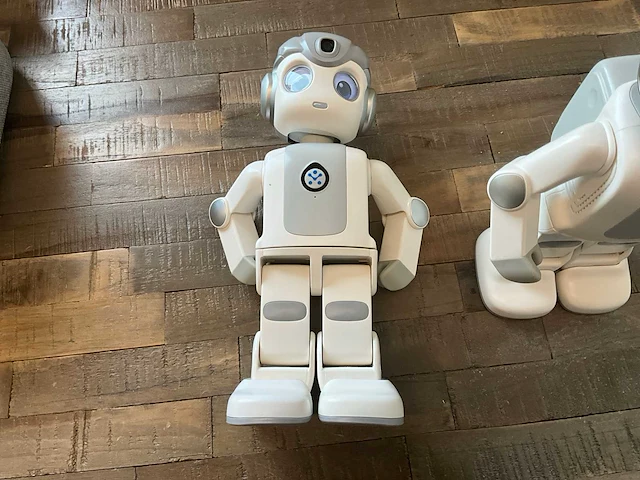 Zora bots robin mini robot (defect) (2x) - afbeelding 5 van  5