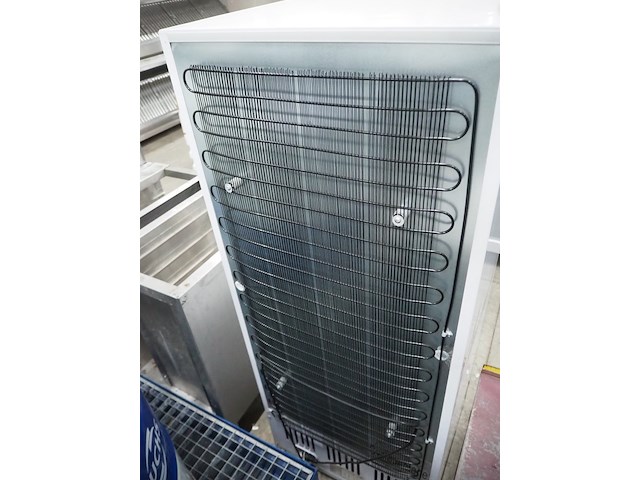 Zorro - afbeelding 6 van  8