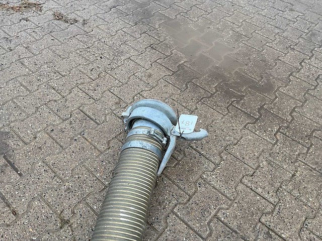 Zuigslang met zuigkorf - afbeelding 7 van  8