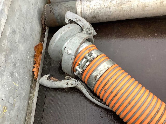 Zuigslang - afbeelding 3 van  3