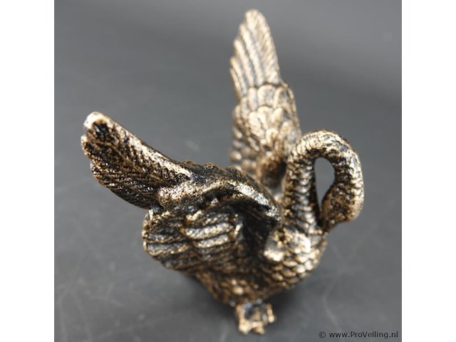 Zwaan - afbeelding 4 van  5