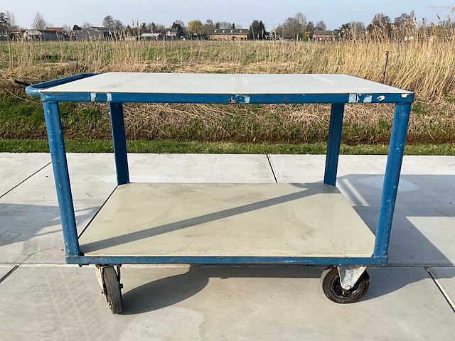 Zware tweelaagse trolley - afbeelding 3 van  5