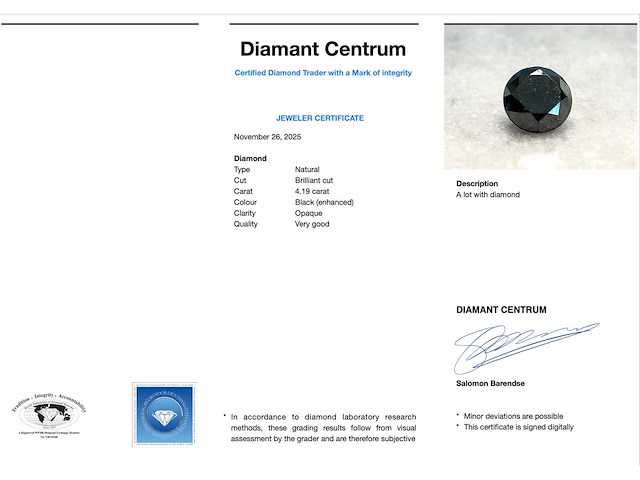 Zwarte diamant 4.19 carat natuurlijke diamant - afbeelding 1 van  1