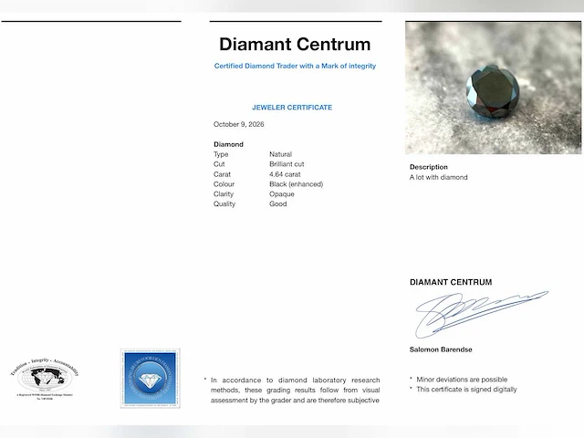 Zwarte diamant 4.64 ct - afbeelding 4 van  4