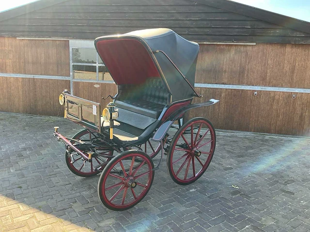 Zwitserse boodschappenwagen - afbeelding 1 van  14