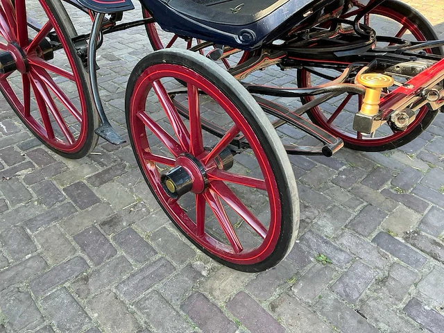 Zwitserse boodschappenwagen - afbeelding 9 van  14